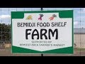 Bemidji Community Food Shelf Farm in Need of Volunteers