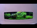 my planted aquarium 119x29x35 cm surpan.cz