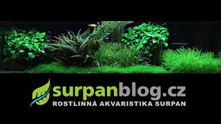 My Planted Aquarium 119x29x35 cm | SURPAN.cz