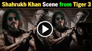 Shahrukh Khan Scene from Tiger 3 😳 | Tiger 3 Update | Shah Rukh Khan | Salman Khan | Srk News