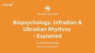 Biopsychology: Infradian and Ultradian Rhythms Explained