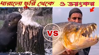 এত নিখুঁত তাদের শিল্পকর্ম