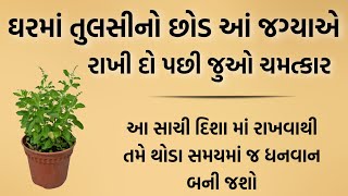 ઘરમાં તુલસી માતા ને હંમેશા આ દિશામાં છે રાખવા જોઈએ | vastu shastra | vastu tips | gujarati stories