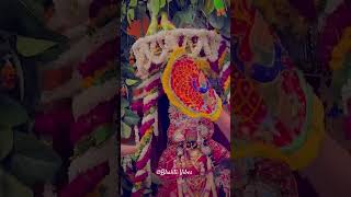 💞💫जिसने 100 बार नाम लिया हो राधा राधा ✨❣️#vrindavan 🙏#radharani🥀 #radhakrishna #radheradhe #ytshorts