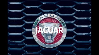 捷豹JAGUAR XEL英国之宝825w音响试听：陈洁仪《浪子心声》