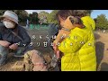 【ミニピン】ピンキーの人見知りと犬見知り。寒さにピンズ固まる🥶