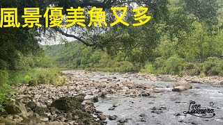 Creek fishing in Taiwan 從北勢溪釣到逮魚堀溪