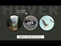 CSS Image Hover Effects | Create Image Hover Overlay Effects with source code