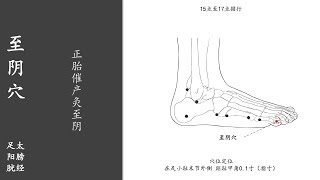 人体穴位188：至阴：正胎催产灸至阴，用拇指按揉至阴穴100～200次，每天坚持，能够治疗头痛 20220122.mp4