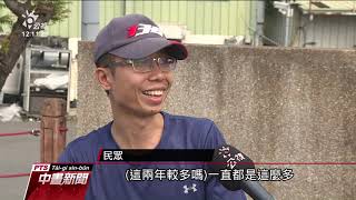 台中太平一江橋旁野狗成群 引居民恐慌 20190804 公視中晝新聞