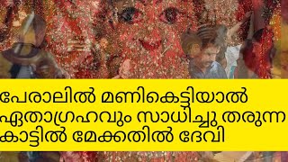 പേരാലില്‍ മണികെട്ടിയാല്‍ ഏതാഗ്രഹവും സാധിച്ചു തരുന്ന കാട്ടിൽ മേക്കതിൽ ദേവി| @itsmeshruthy