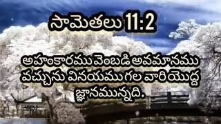 సామెతలు - Proverbs 11 : 2