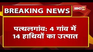 Pathalgaon के 4 गांव में 14 हाथियों का उत्पात| हाथियों ने घरों को तोड़ा, फसलों को भी पहुंचाया नुकसान