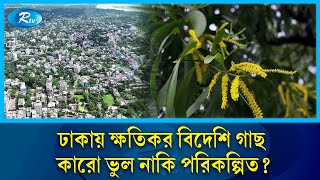 দূষিত শহরে শীর্ষে থেকেও ঢাকায় কেন ক্ষতিকর বিদেশি গাছ? | Foreign Tree | Noxious plants | Rtv News