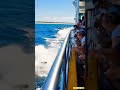 shark annoys ferry deep seafishing fishing vessel operations shark fishing marine ecology