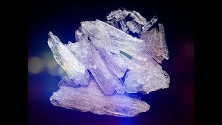 Five Arrested in Crow Wing County Drug Bust