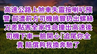 高速公路上煞車失靈按喇叭預警 卻遭前方司機挑釁扔出螺絲刀差點害全家性命撞出高速後司機下車一臉開心「追尾你全責 賠償夠我換奔馳了」#心書時光 #為人處事 #生活經驗 #情感故事 #唯美频道 #爽文