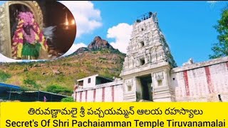 తిరువణ్ణామలై శ్రీ పచ్చయమ్మన్ ఆలయ రహస్యాలుSecret's Of Shri Pachaiamman Temple Tiruvanamalai