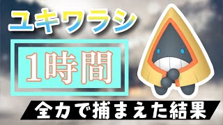 【ポケモンGO】田舎でユキワラシのスポットライトアワーをやった結果