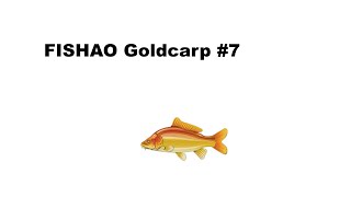 FISHAO Goldcarp #7