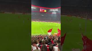 FC Bayern München - FC Barcelona 2022/23 // Torjubel zum 1:0 (#shorts)