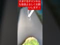 茨城県にて・・・バンジージャンプ！！