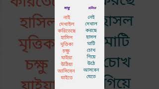 #বাংলা #ব্যাকরণ # সাধু ও চলিত