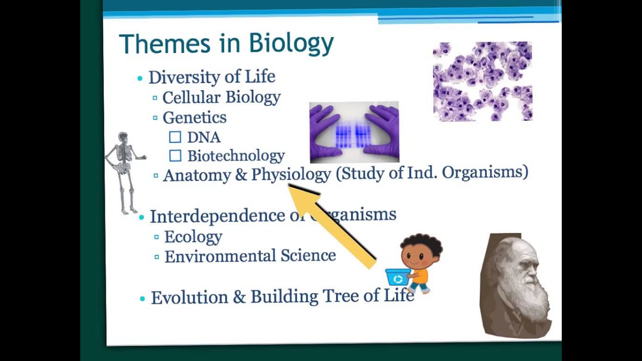 Introduction To Biology - YouTube