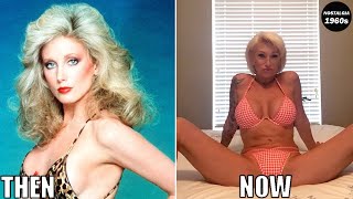 20 Stunning Stars From The 70s And Their Shocking Looks Now
