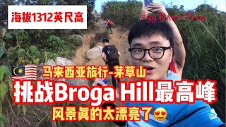 大马旅游 Tips | 挑战Broga Hill茅草山海拔1312英尺高的峰 风景真的太美了 #99 Daily Vlog Malaysia