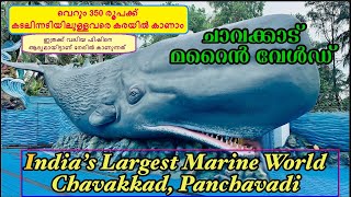 India’s Largest Public Aquarium | Marine World Chavakkad Aquarium | Panchavadi | Thrissur | 4k