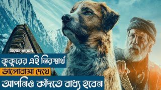 The Call Of The Wild Bangla Explained | Full Movie Stroy Explain in Bangla | Movies Mirror