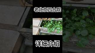 老北京四合院详解（1）#北京张 #四合院