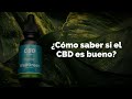 ¿Cómo saber si el CBD es bueno? | WellGreen