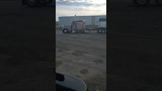 peterbilt 333 wheelbase...backing up