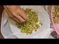 gawar phali ki new recipe cluster bean recipe by erum food secrets