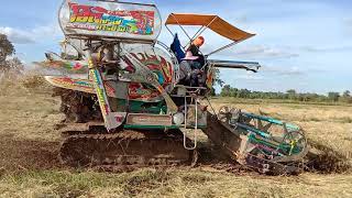 ข้าวงามๆ จ๊วดข้าวล้ม  รถเกี่ยวโอ๊ตเจริญการช่าง2020 combine harvester ep.43