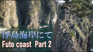 【ドローン４K空撮：DJI MINI2】浮島海岸にて Futo Coast  Part２