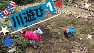 久しぶりの川遊び1♪