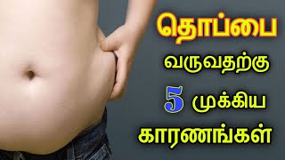 தொப்பை வருவதற்கான காரணங்கள் || HOW TO REDUCE BELLY FAT IN TAMIL ||