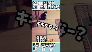 ハチワレ猫#【キキとジジ】応援出来ない運動会②