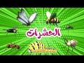 اغنية الحشرات | اغاني اطفال بون بون