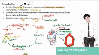 กรองกิ้ว I Flowering  plant structure and function (มีเอกสารประกอบการเรียน)