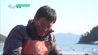 [로미나 고미호의 한국 속으로] 거제에서 살아보기 2부 [6시 내고향] 20190326