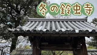 冬の鈴虫寺　暖かいお部屋で暖かいお話聞けました。　#京都観光　#鈴虫寺