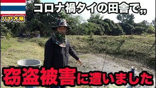 【実話】1年半ぶりにタイ北部700万円の土地を見に行ったら窃盗被害に遭いました【前編】