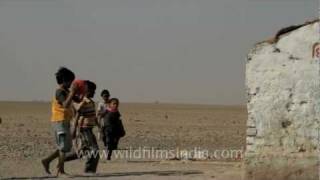 Desert School in Gujarat