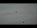 rcpowers mig 29 v2 prototypes flying