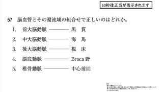 第52回PT国試午前 No.57 - 脳血管と還流域の組み合わせで正しいのは？（解剖学）| 動画で学ぶ理学療法士国家試験の過去問（2017年・平成29年版）