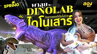 พบไดโนเสาร์ตัวยักษ์ ที่DINOLAB BANGKOK 2025 Jurassic Domination